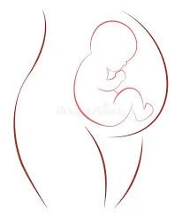 Womb &amp; Wonder Doula Services
