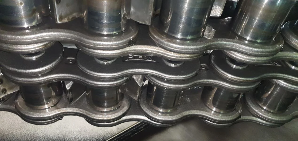 ME measurements (4).JPG