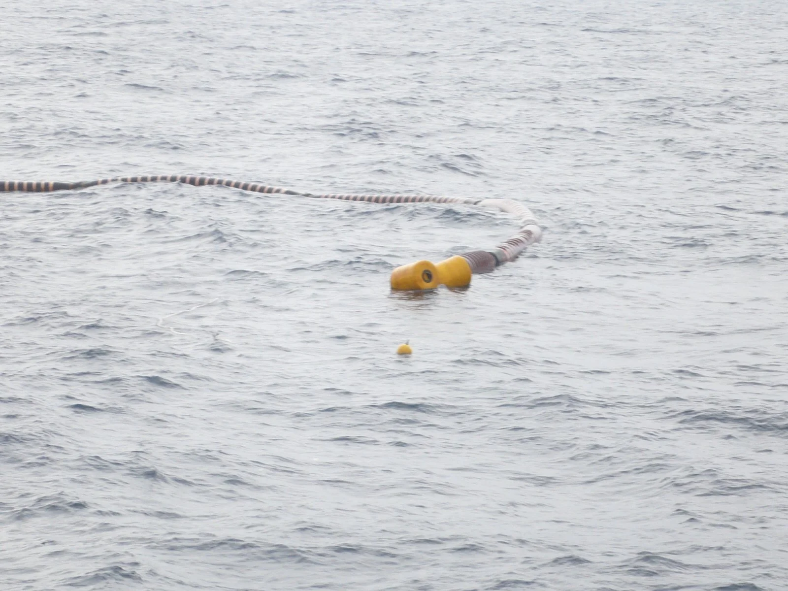 Various work on 20 inches floating hoses (3).JPG