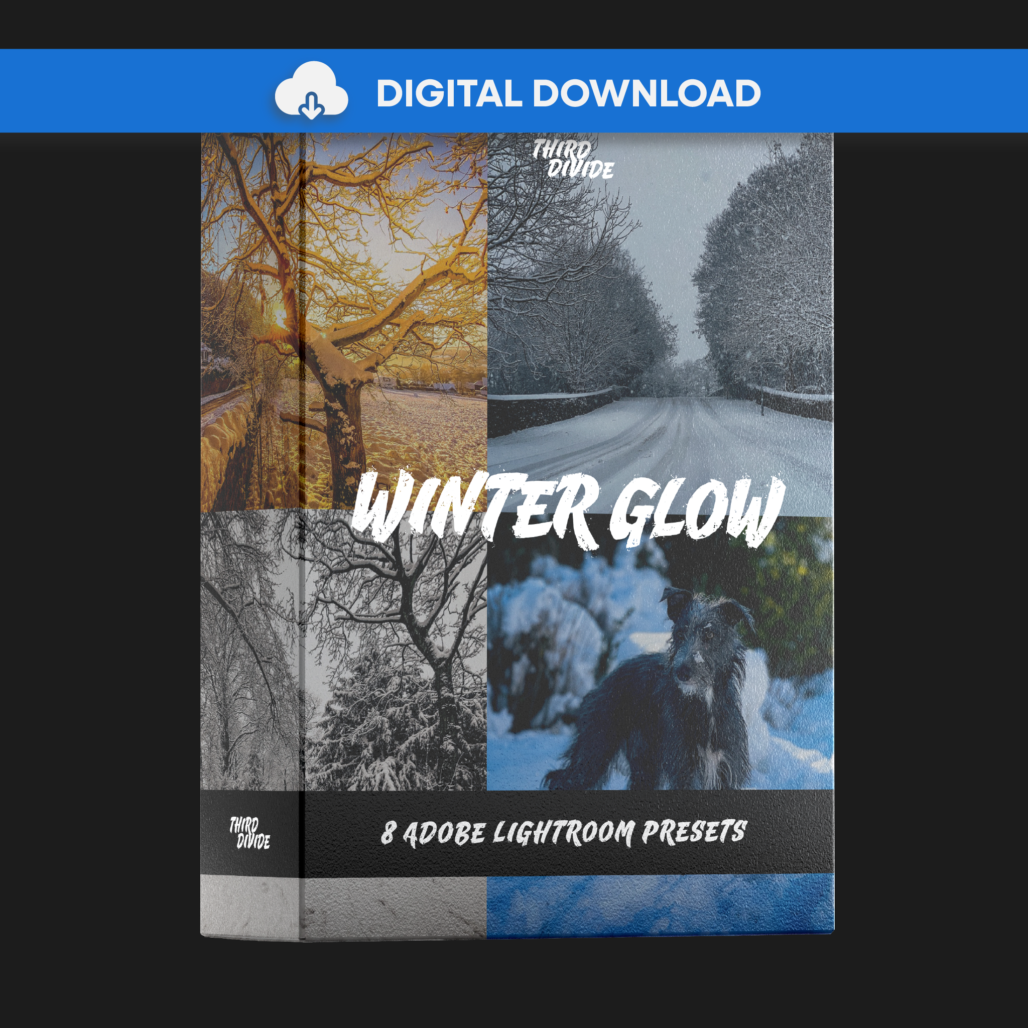 Winter Glow | 8 Adobe Lightroom Presets