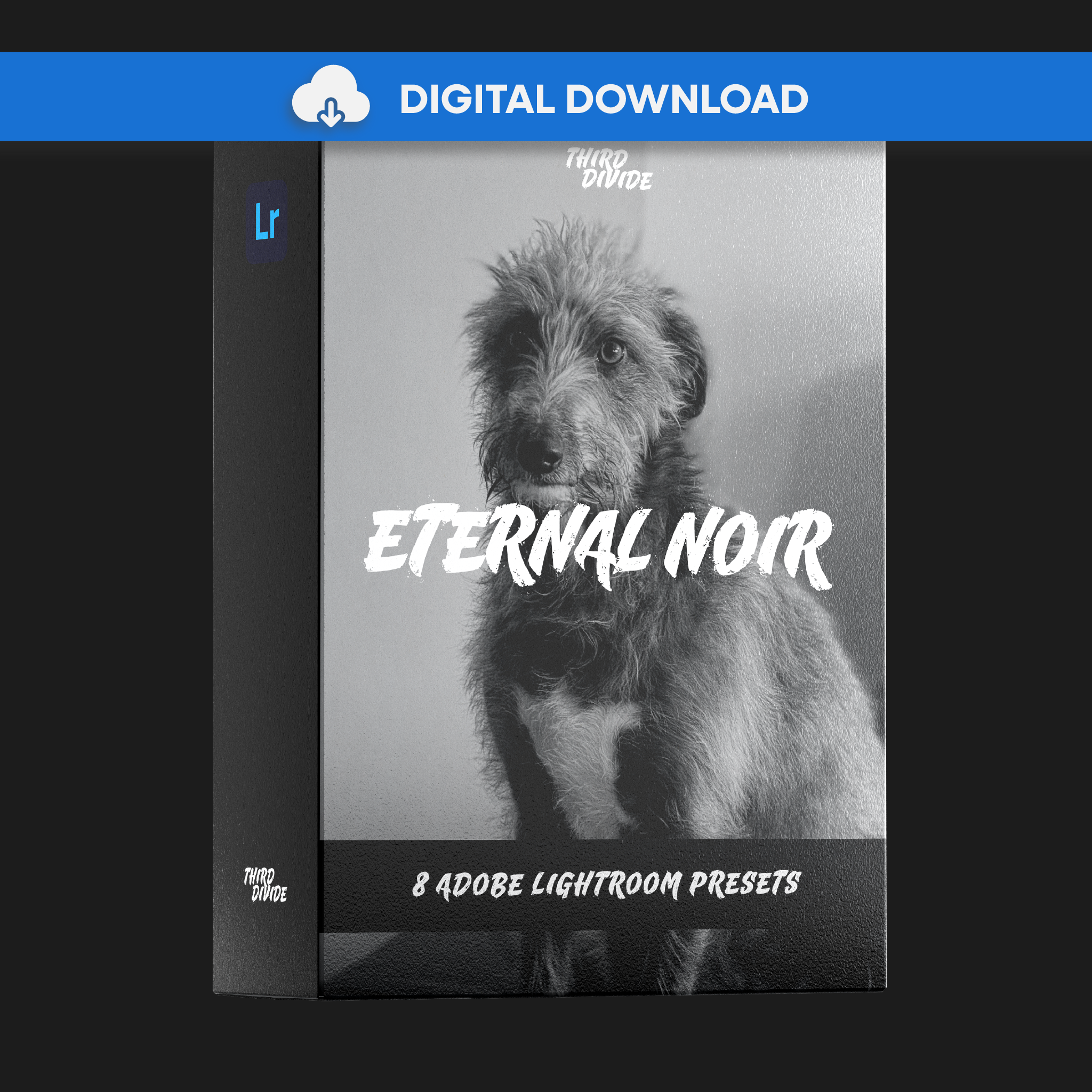 Eternal Noir | 8 Monochromatic Presets