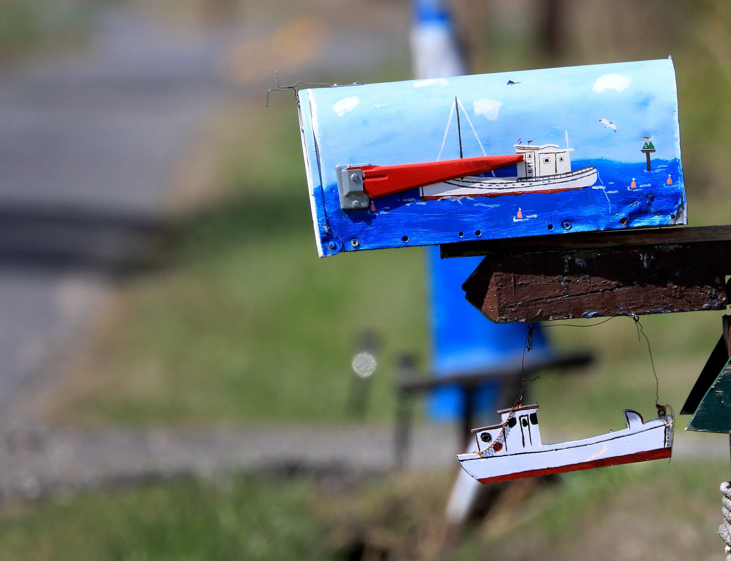 guinea feech 04-12-2022 03.jpg