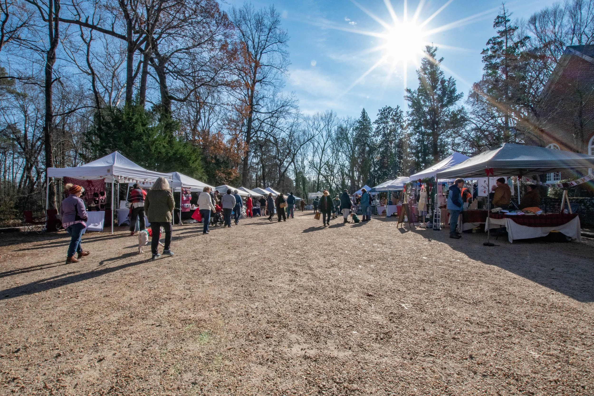 untitled-8900 (2).jpg