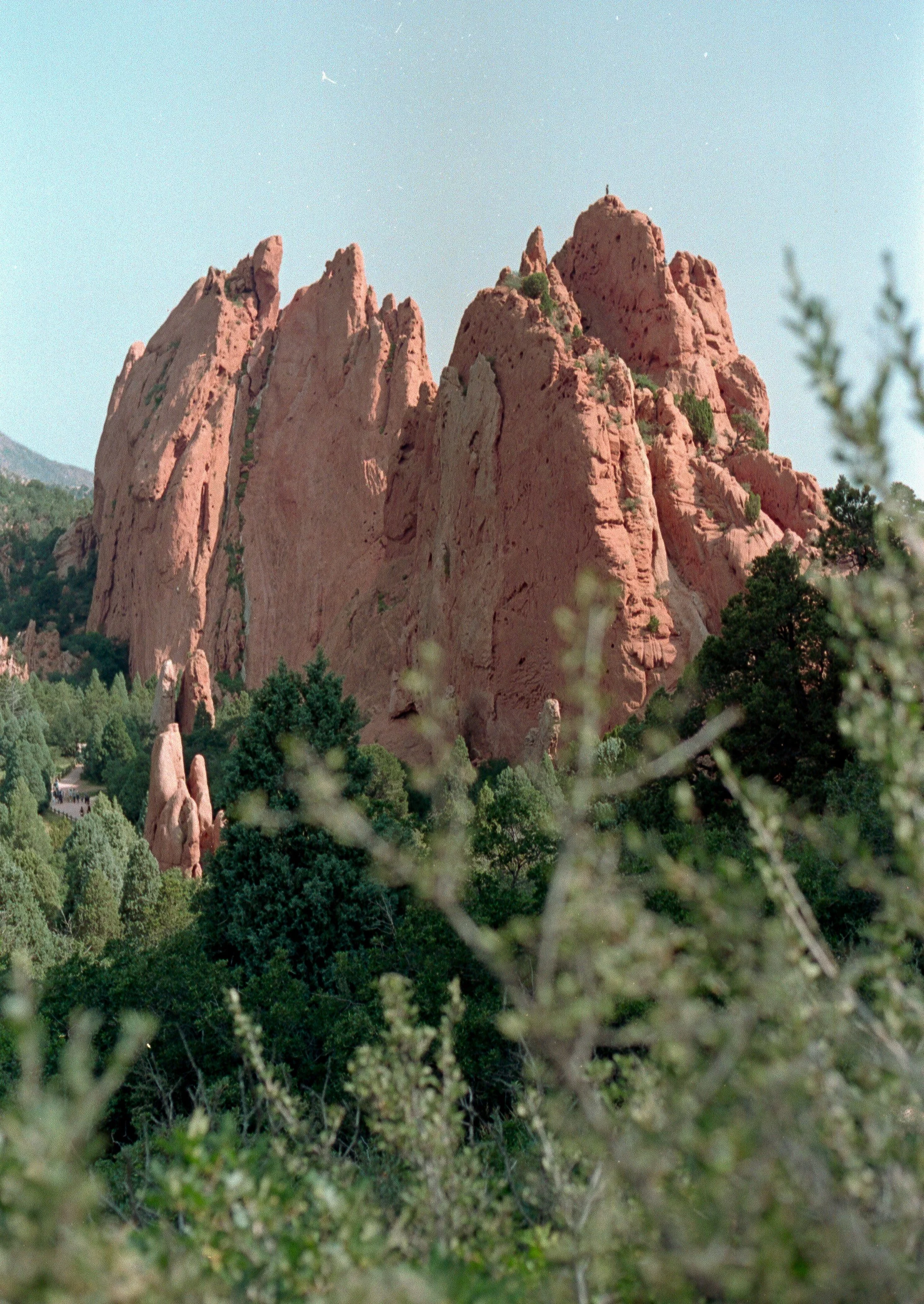 Pink rock formations surrounded by green trees under a clear sky.
