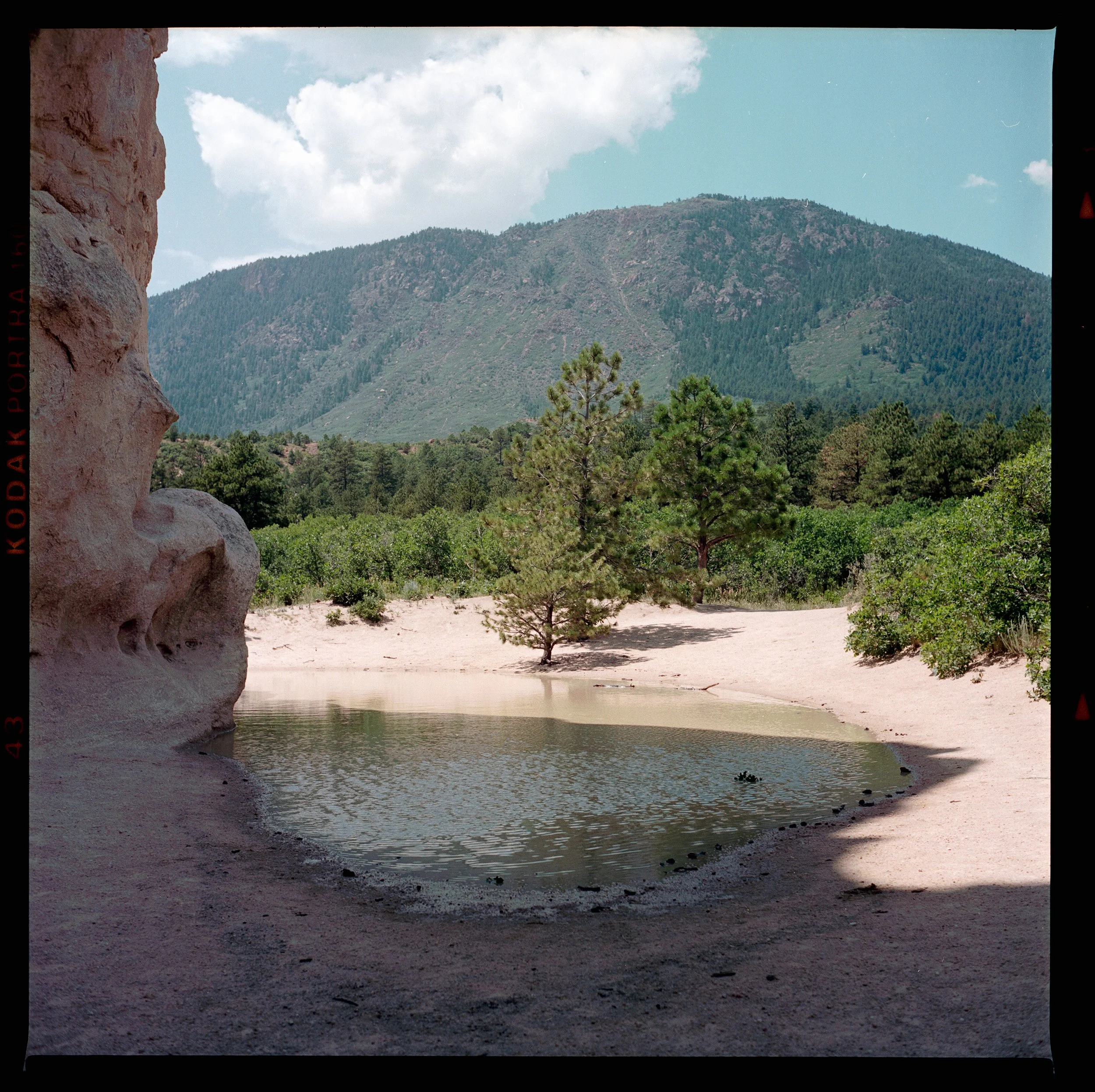 A small pond surrounded by sandy ground with trees and shrubs in the background, mountain in the distance, and partly cloudy sky.