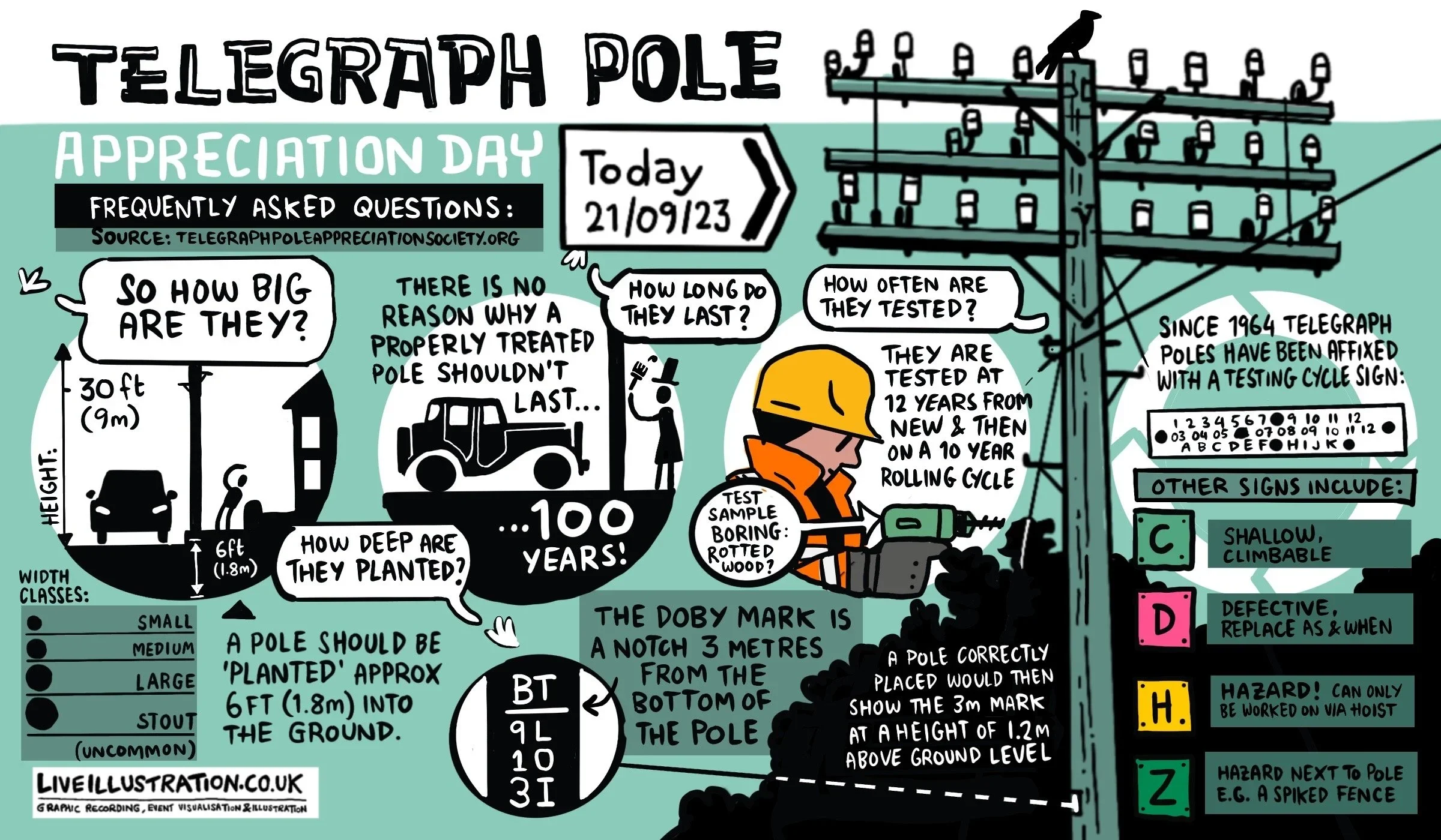 Telegraph Pole Appreciation Day
