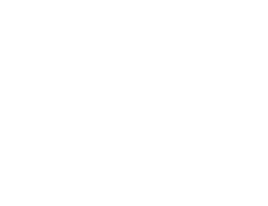 A stylized speech bubble with the word 'Palim' written inside in cursive script.