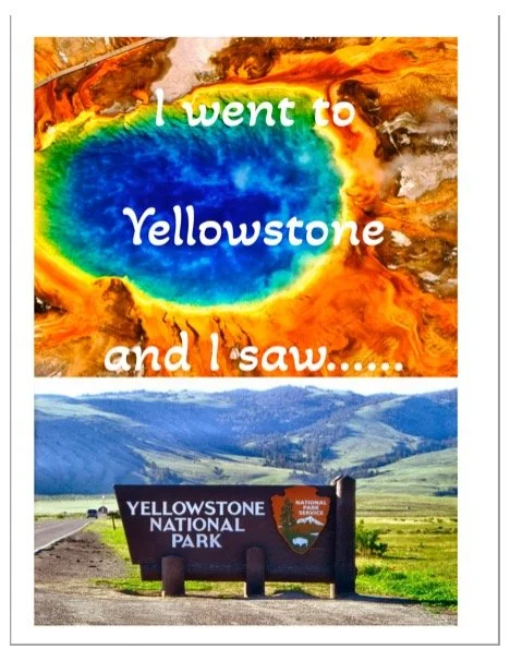 Yellowstone Animal Activity Book
