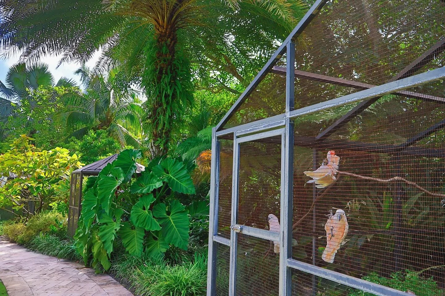 Tropical bird sanctuary 🦜🌴