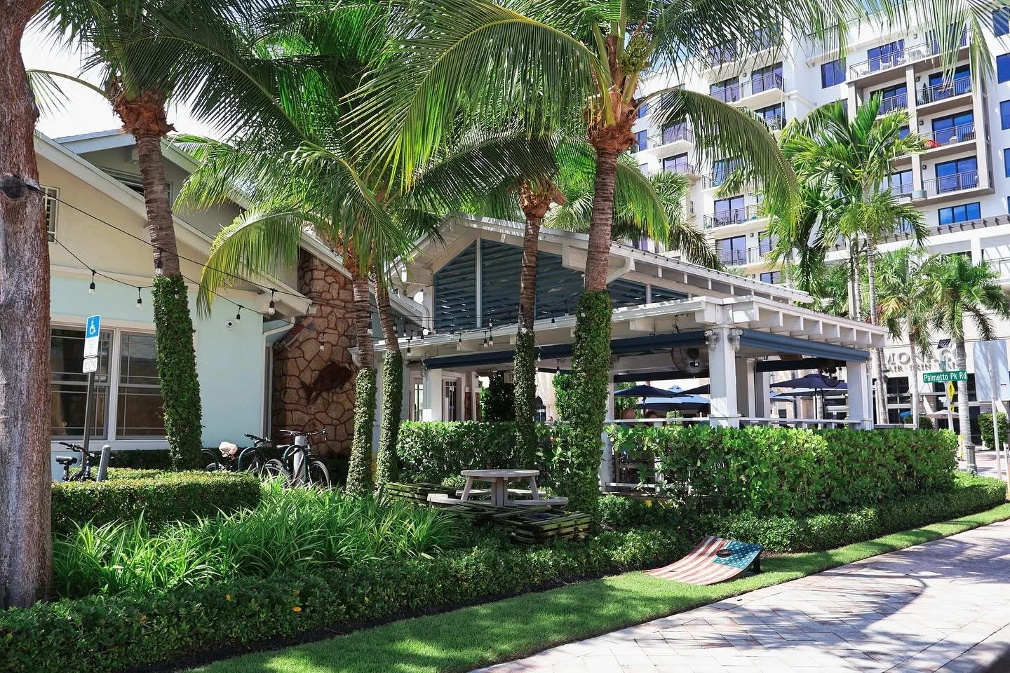 beautiful greenery @luffsfishhouse  #greenislandficus #coconutpalm #pandanusbaptistii #clusiaguttifera #ficusrepens