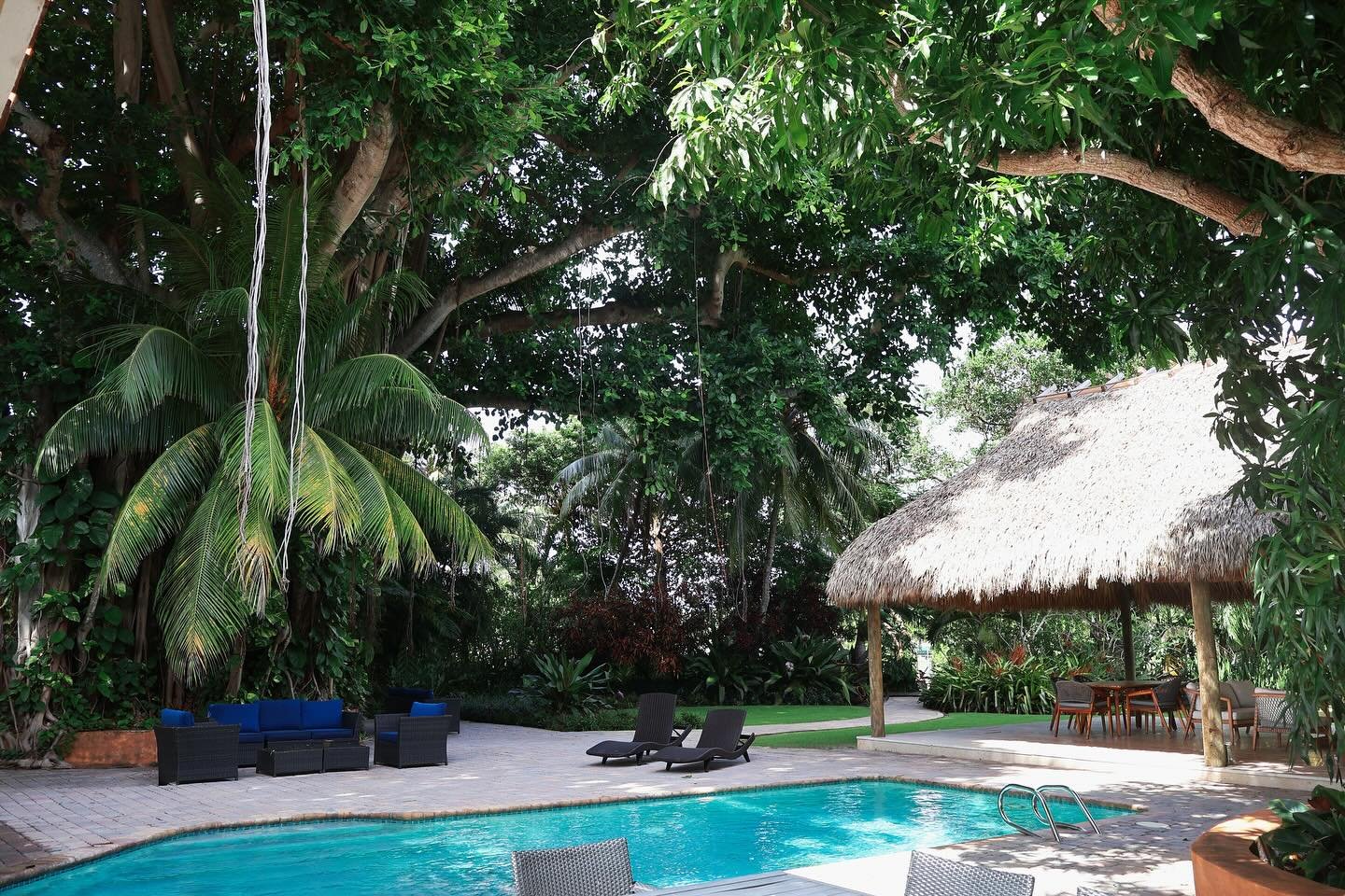 Serenity found under the Ficus benghalensis, or Banyan Tree #ficusbenghalensis #banyantree #waterfrontproperty #nature #landscaping #northpalmbeach
