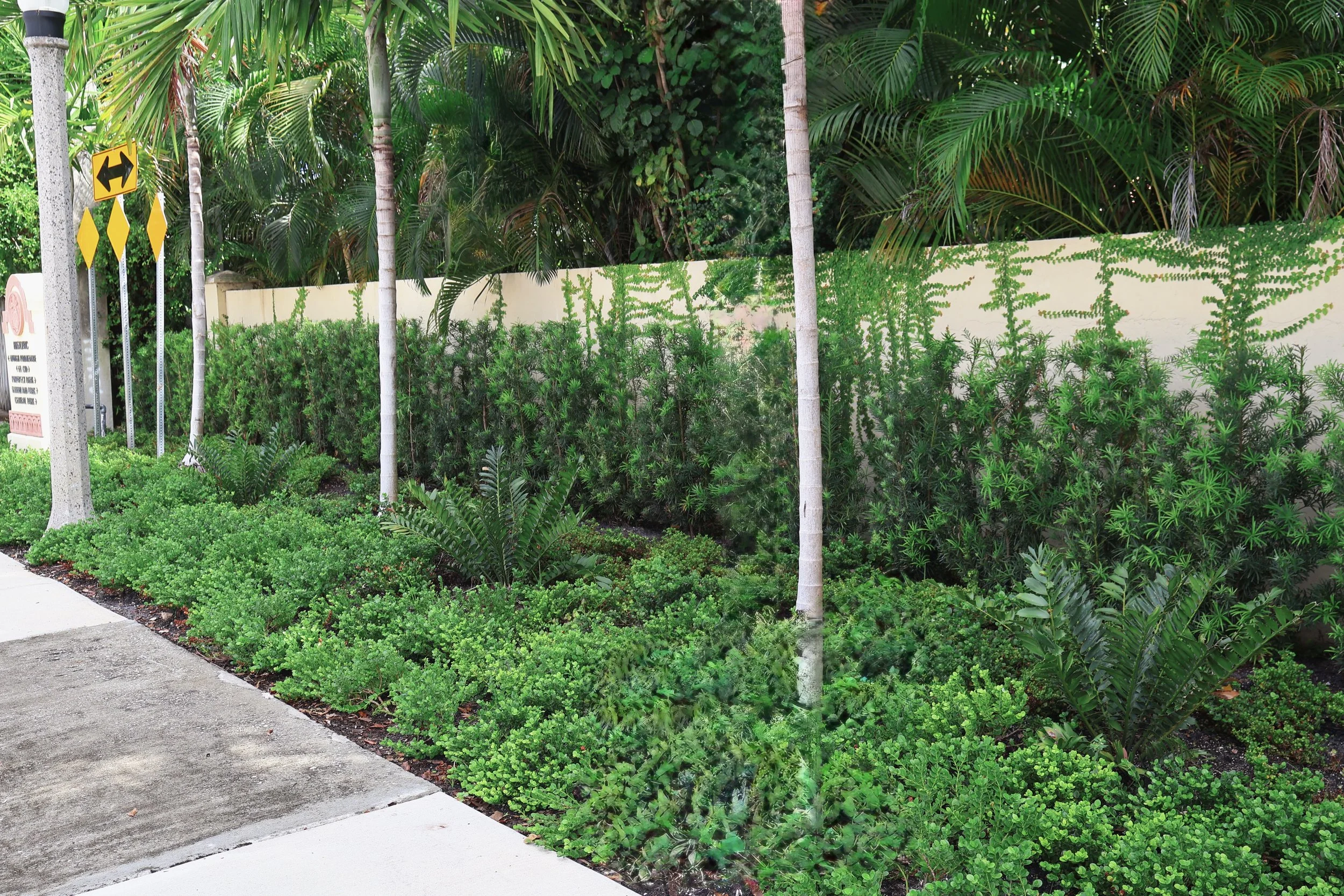 City property landscaping care services in the Palm Beaches.jpg