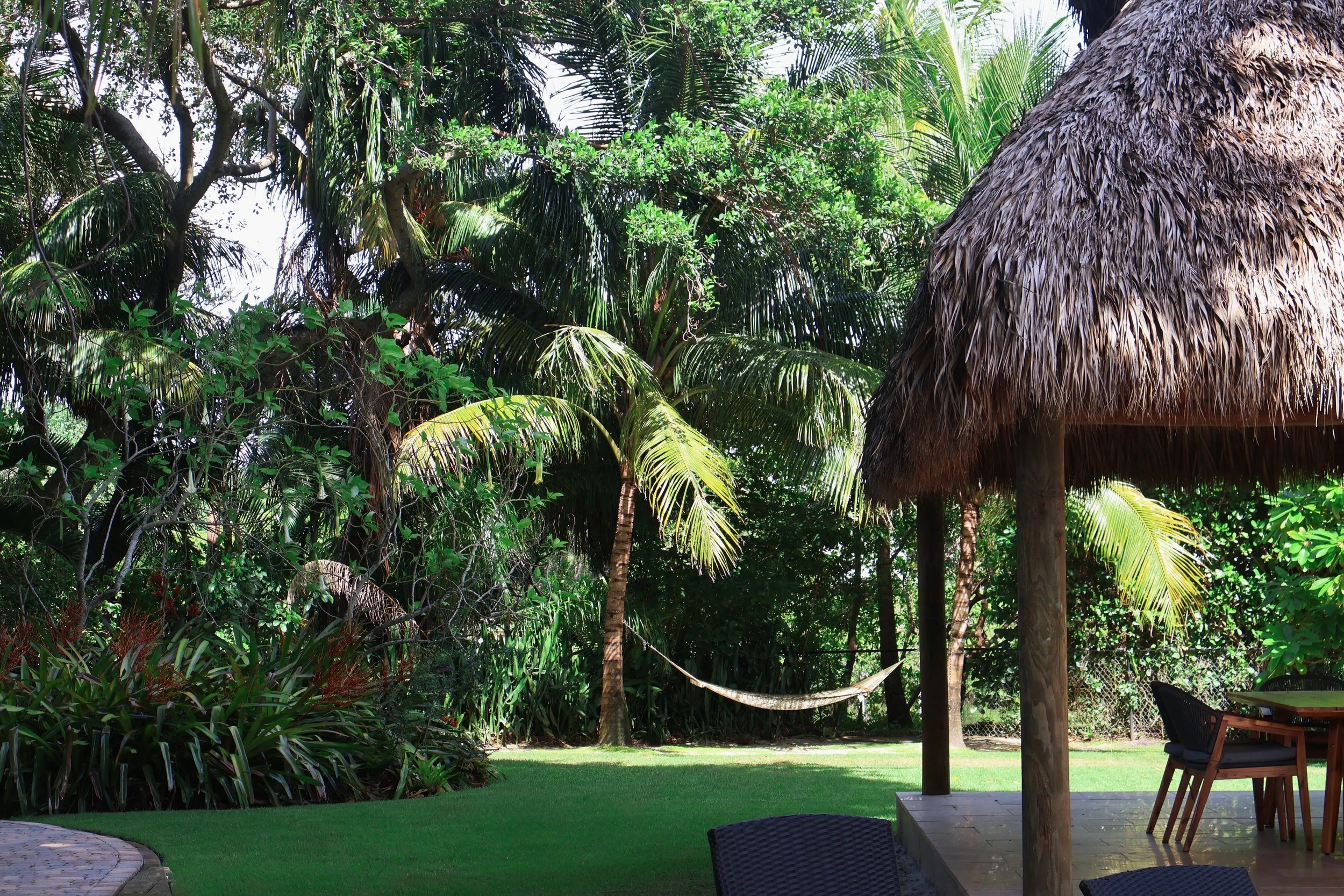 Residential salt tolerant landscaping by Alligator Landscaping.jpeg