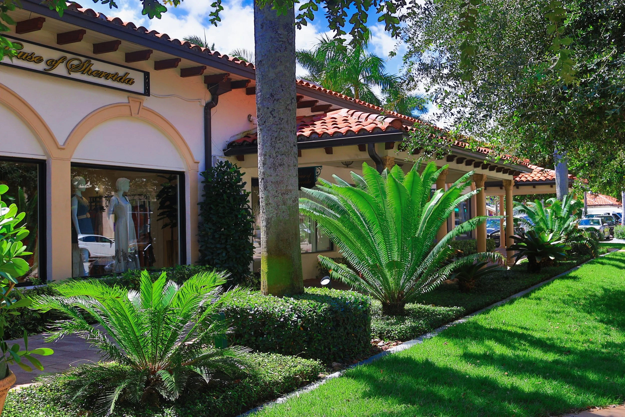 Professional landscaping for shopping center properties in Boca Raton.JPG
