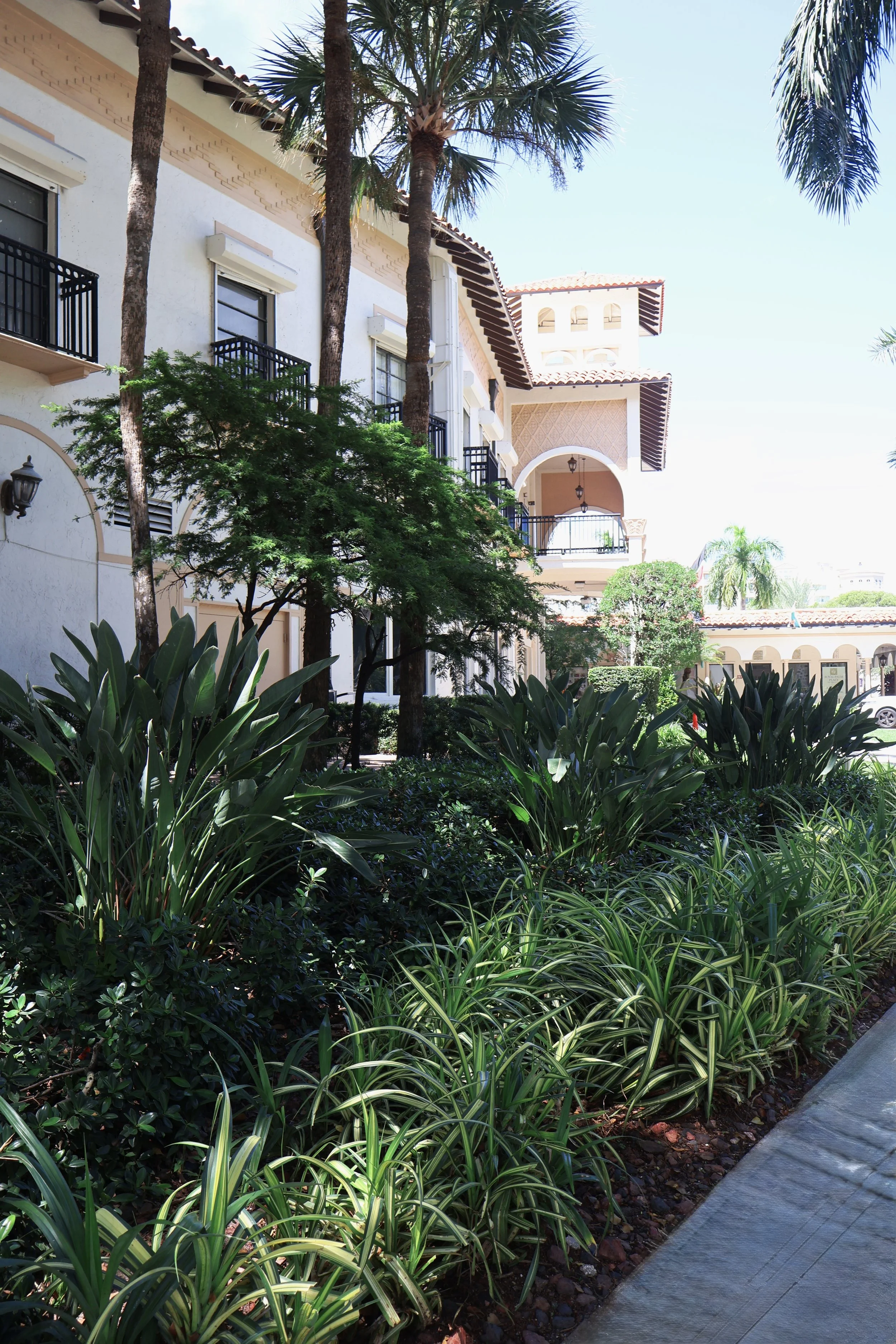 Retail center landscaping maintenance by Alligator Landscaping.jpg