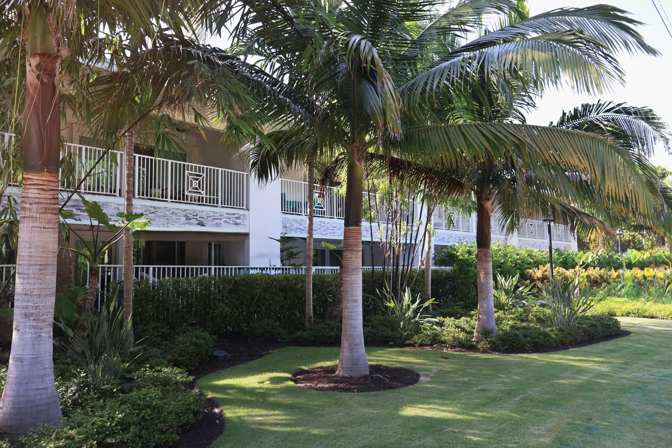 Waterfront salt tolerant landscaping options by Alligator Landscaping.jpg