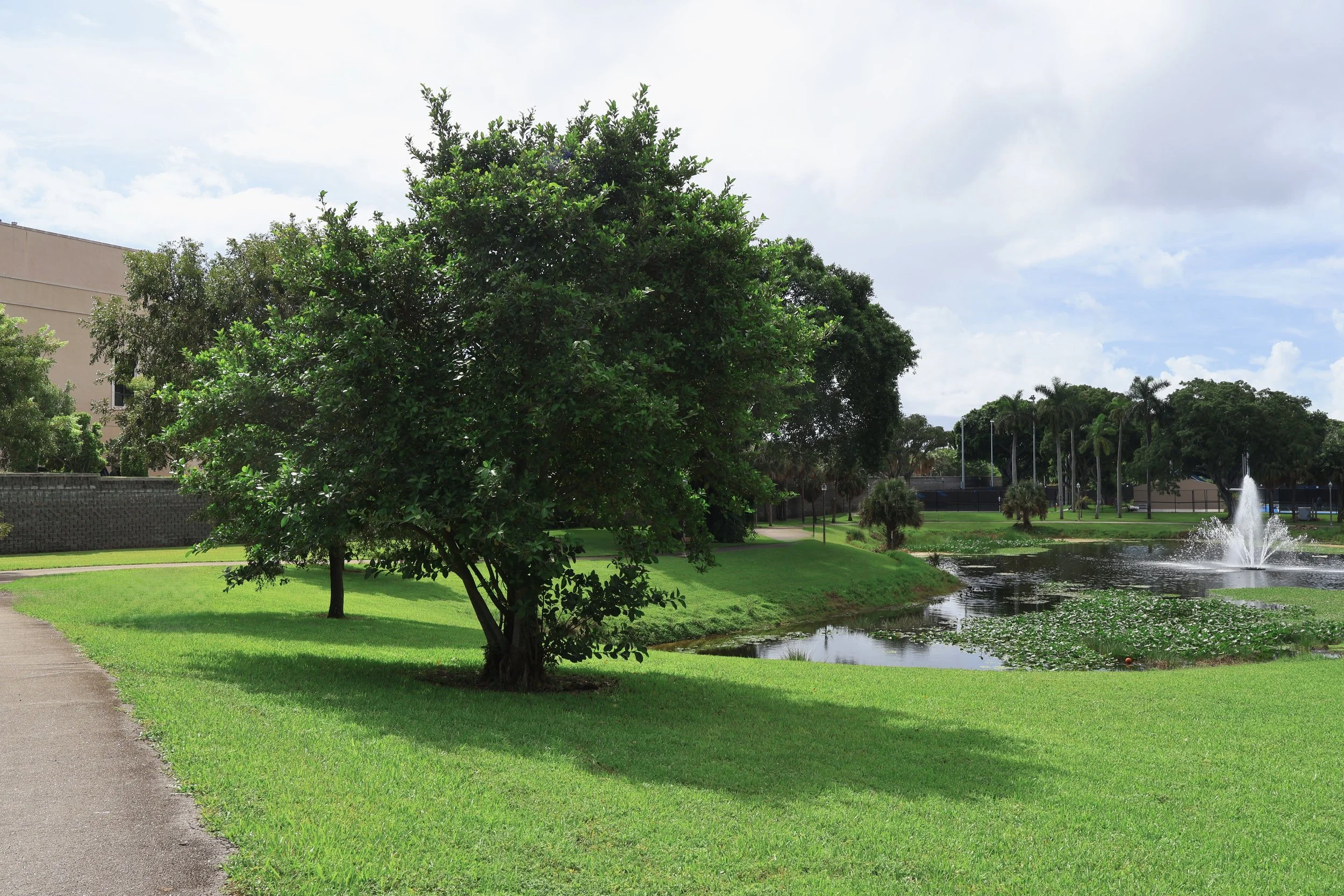 Professional landscaping for public properties in South Florida.jpg