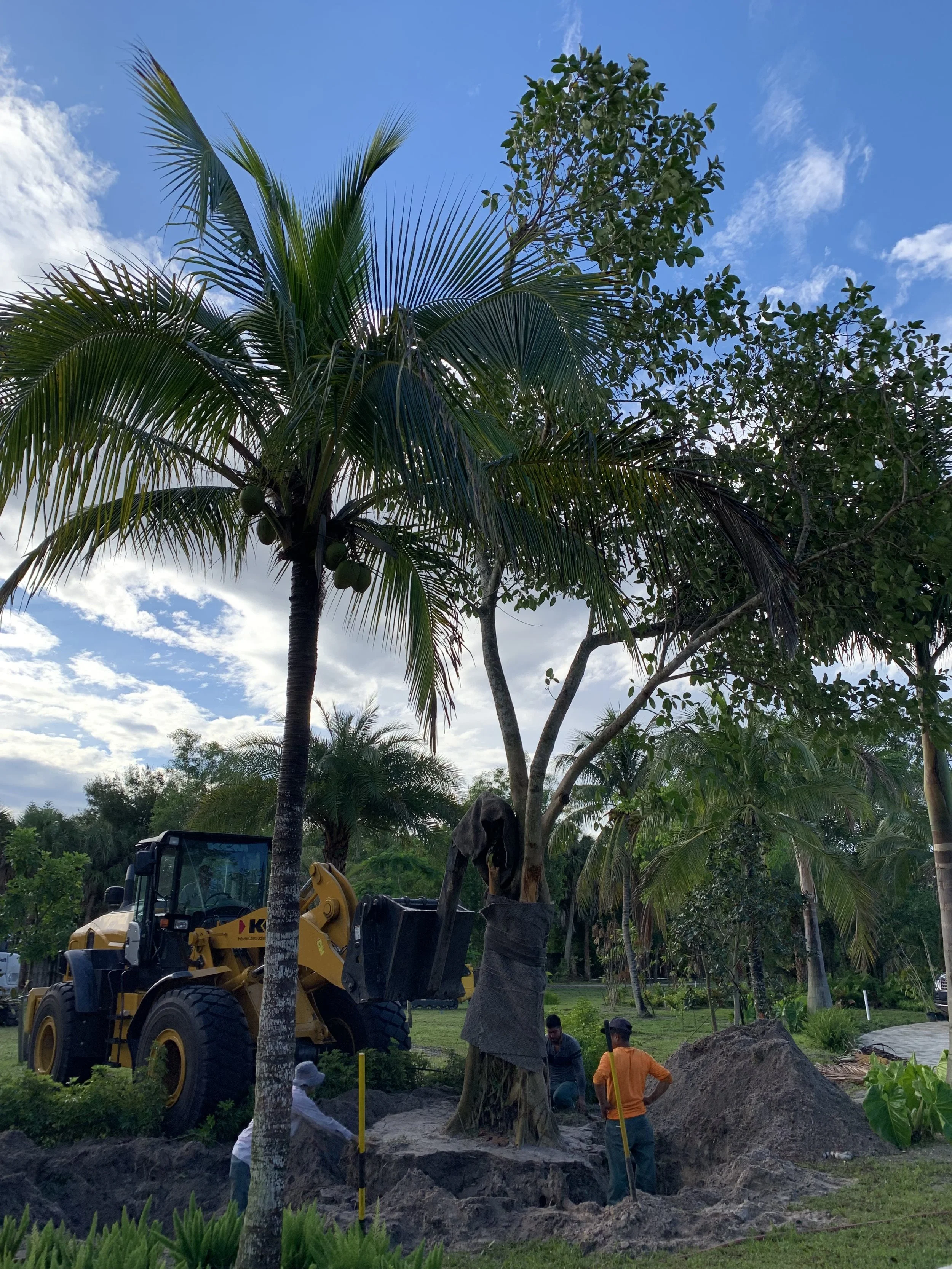 Certified residential landscaping team in south florida.jpeg