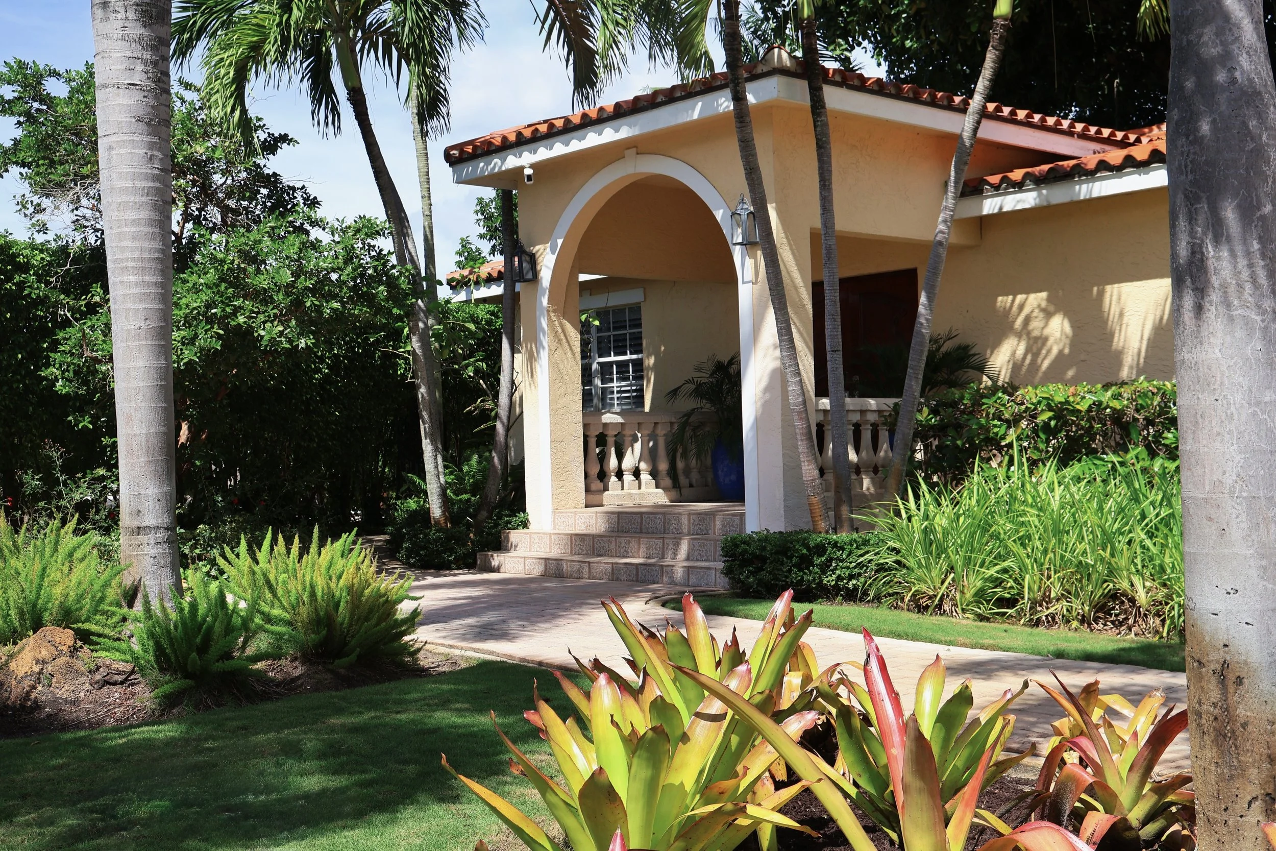 Residential tropical landscaping by Alligator Landscaing.jpeg