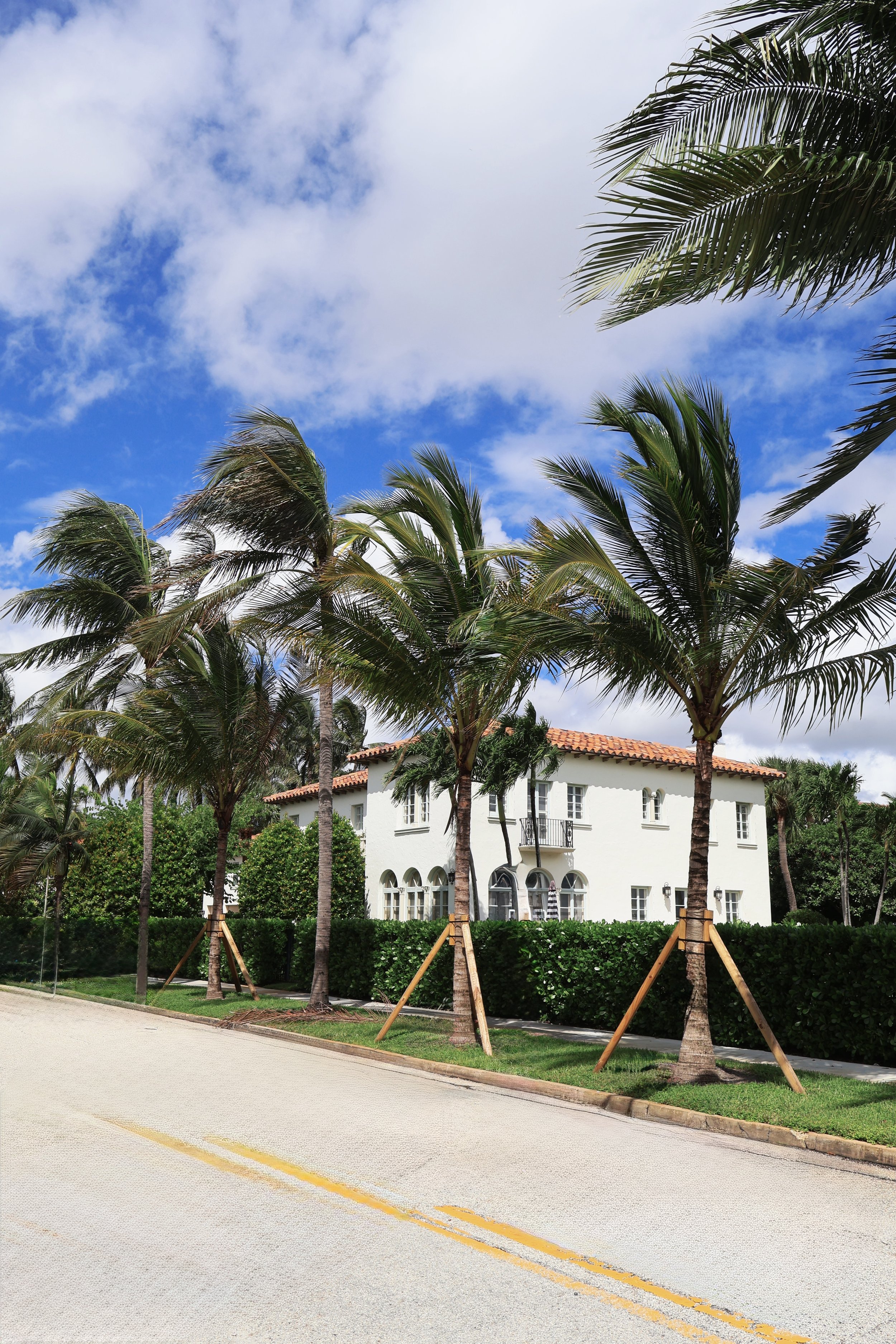 Commercial lawn maintenance for cities by Alligator Landscaping.jpg