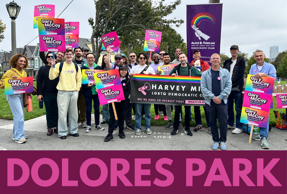 Canvassing in Dolores Park