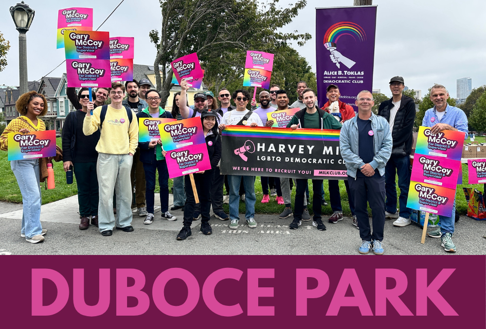 Canvassing in Duboce Park
