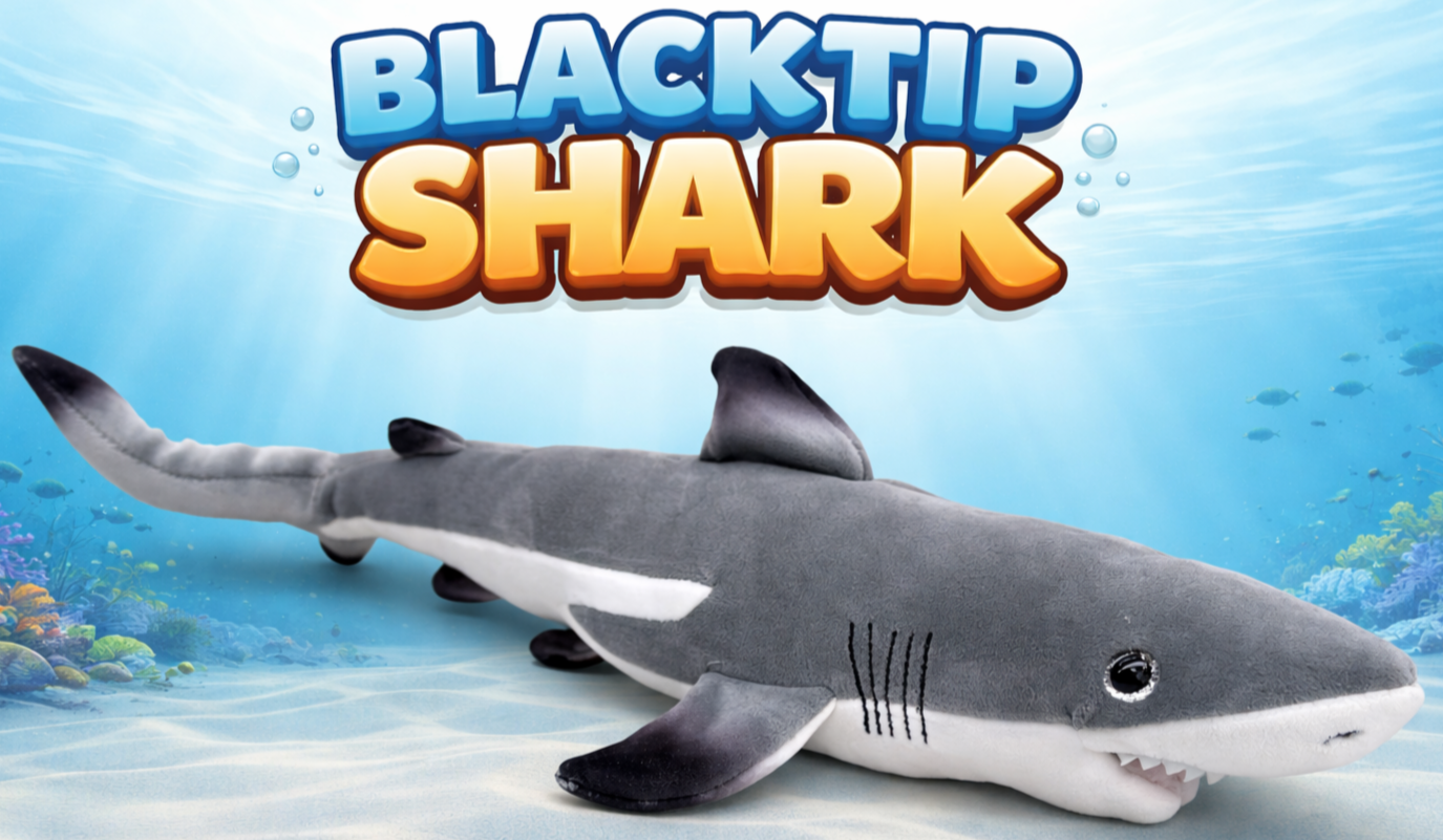 SHARK.png