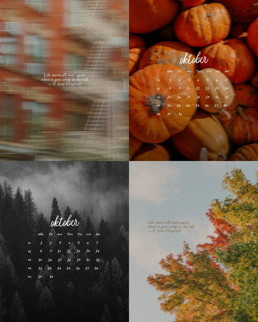 Vilken &auml;r du den h&auml;r m&aring;naden? Min mobil &auml;r pumpkin spice 🎃 Hittade inte min Apple Pencil s&aring; ingen illustration den h&auml;r m&aring;naden, men &auml;nd&aring; fall vibes. Lade in en svartvit skog f&ouml;r er som &auml;r i 