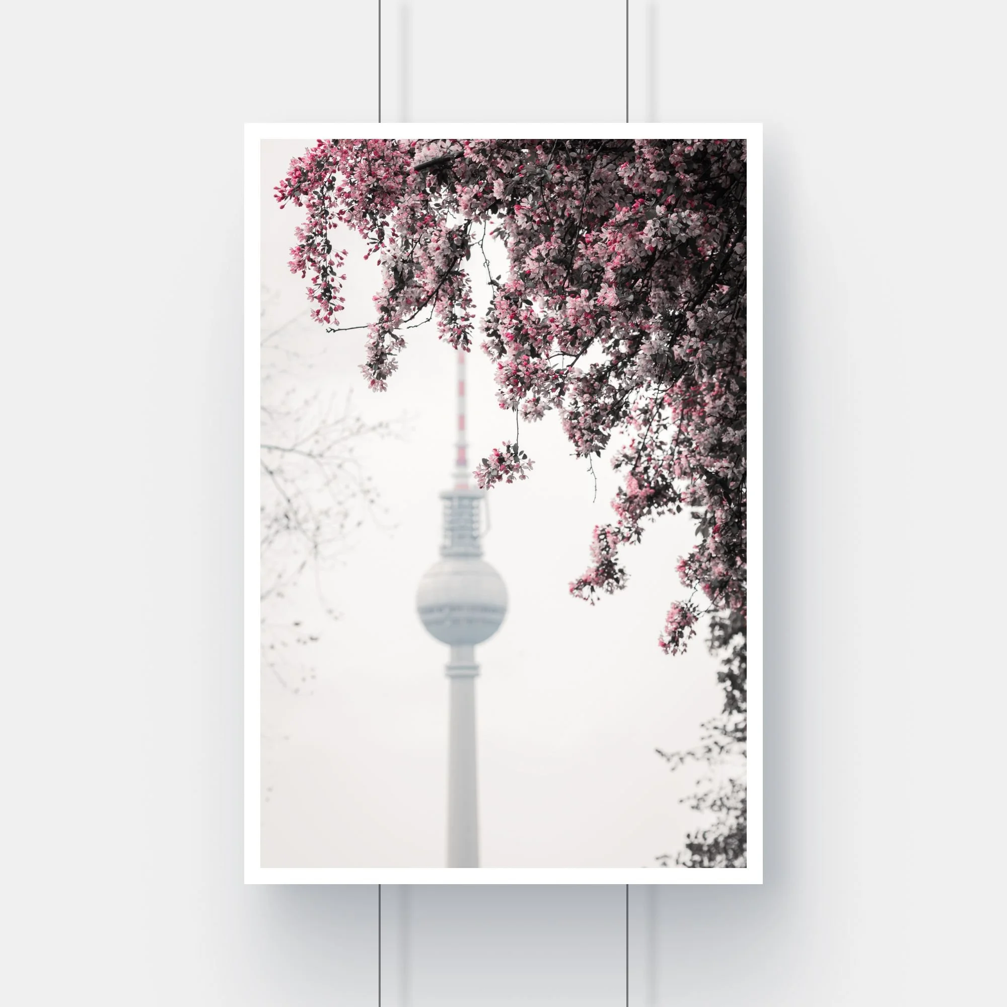 Limited edition fine art print of cherry blossoms framing the Berlin Fernsehturm television tower in Mitte.