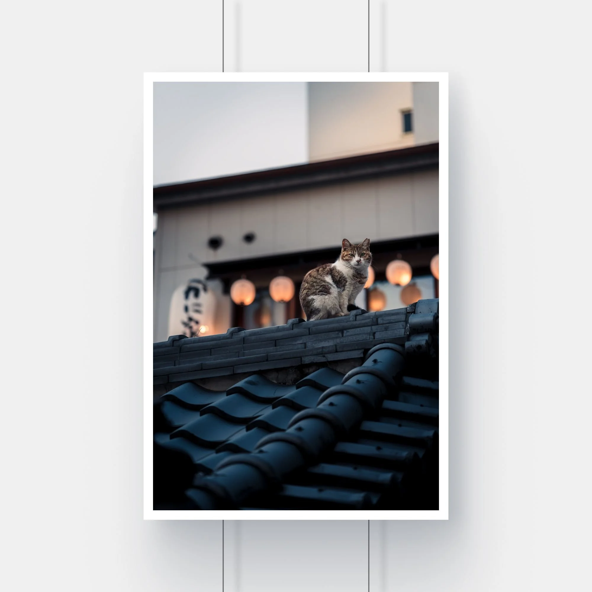 Limited edition fine art print of a cat at Hozenji Temple in Osaka, Japan.