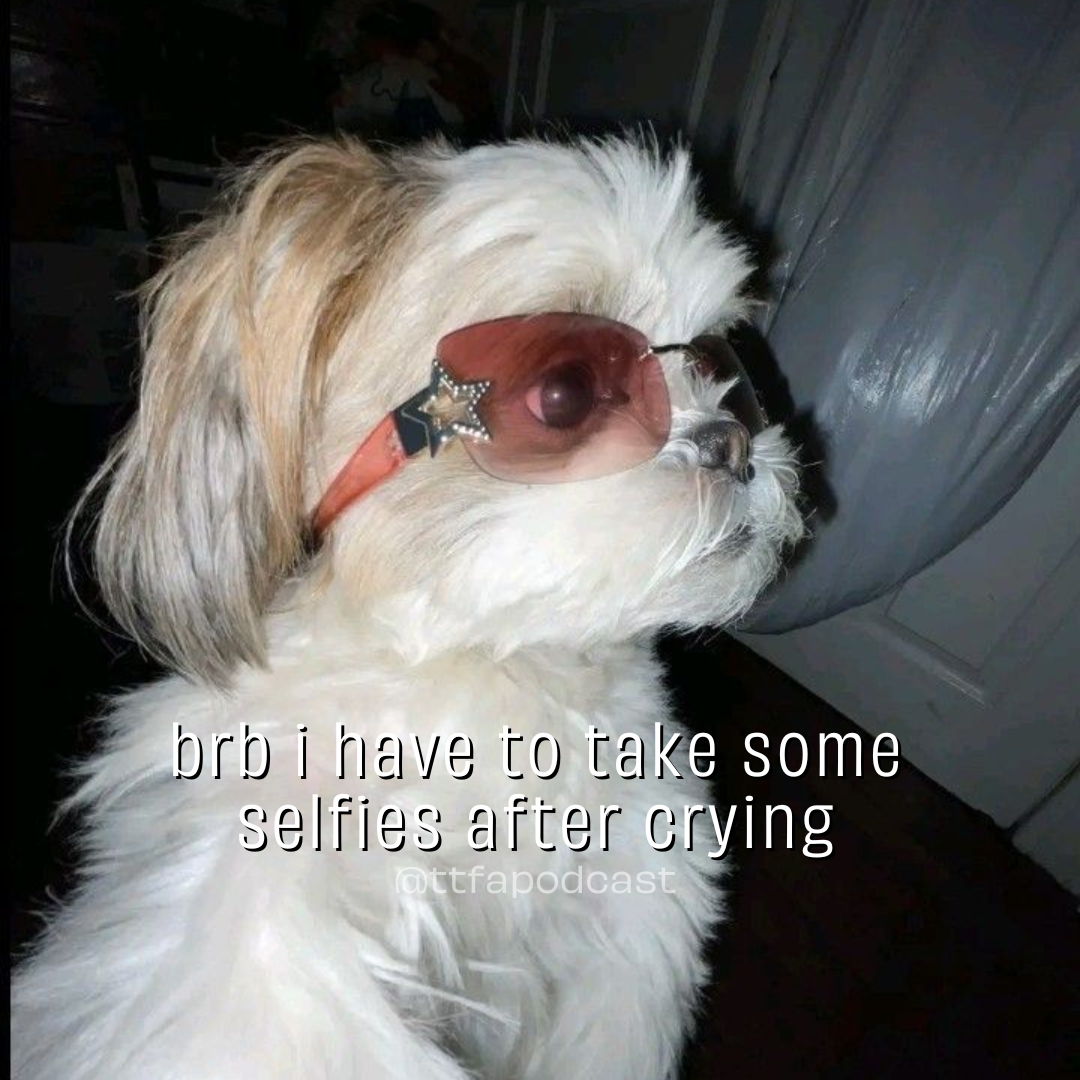 Terrible, Thanks for Asking was... well, heavy! The audience, though deeply engaged with our heavier content, also loved to laugh and have a moment's relief from the weight of grief or loss or mental health struggles. I suggested having a "meme" spec