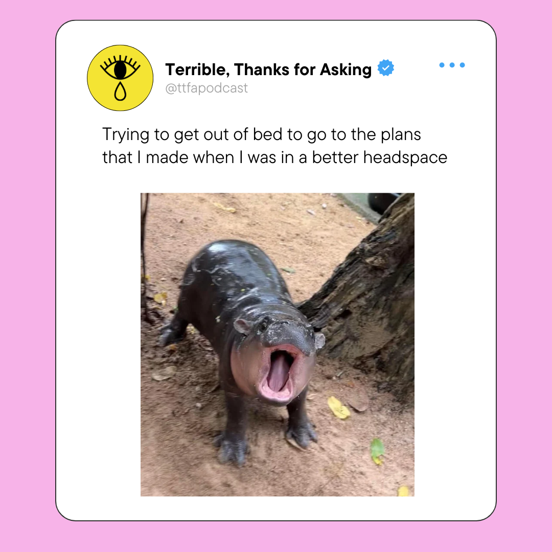 Terrible, Thanks for Asking was... well, heavy! The audience, though deeply engaged with our heavier content, also loved to laugh and have a moment's relief from the weight of grief or loss or mental health struggles. I suggested having a "meme" spec