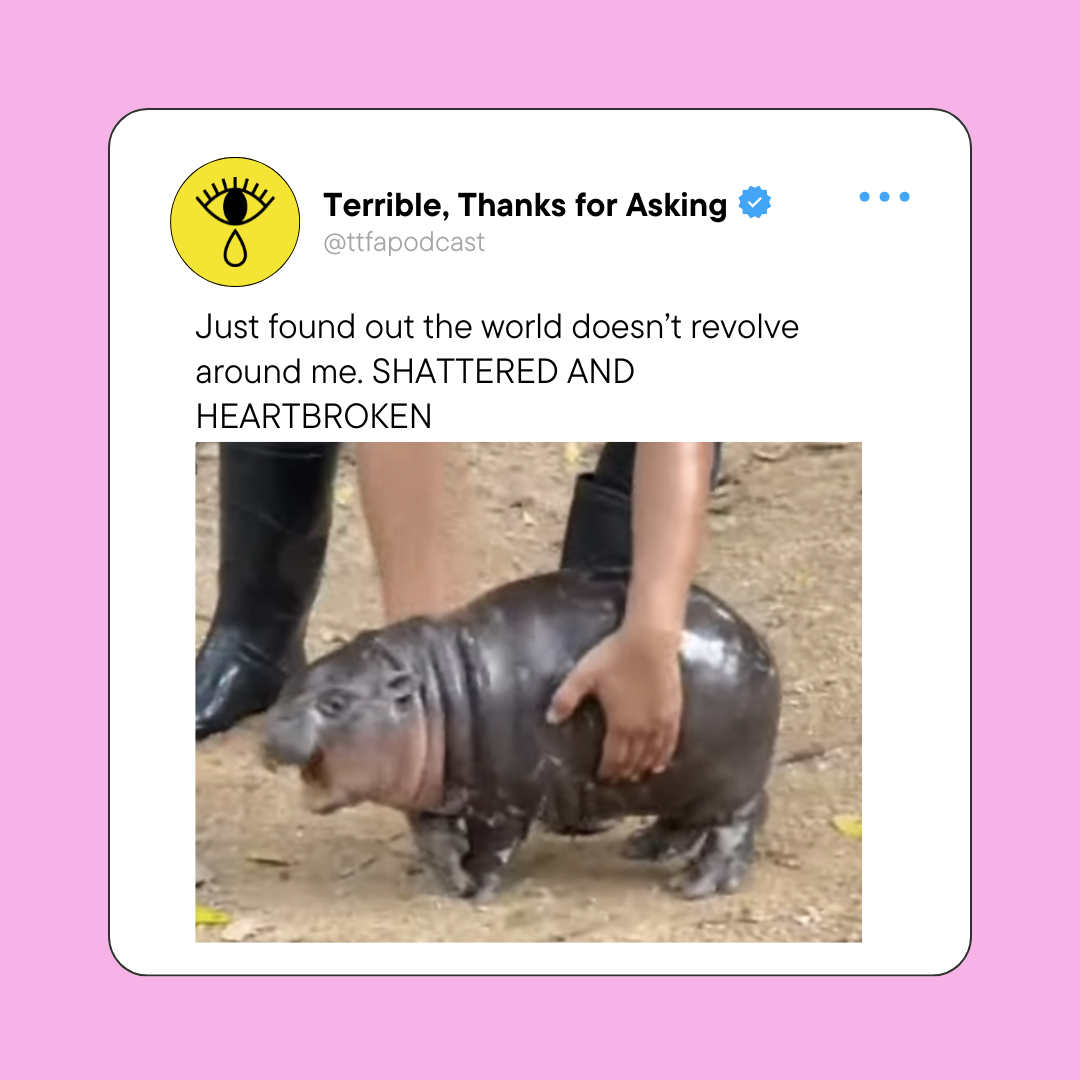 Terrible, Thanks for Asking was... well, heavy! The audience, though deeply engaged with our heavier content, also loved to laugh and have a moment's relief from the weight of grief or loss or mental health struggles. I suggested having a "meme" spec