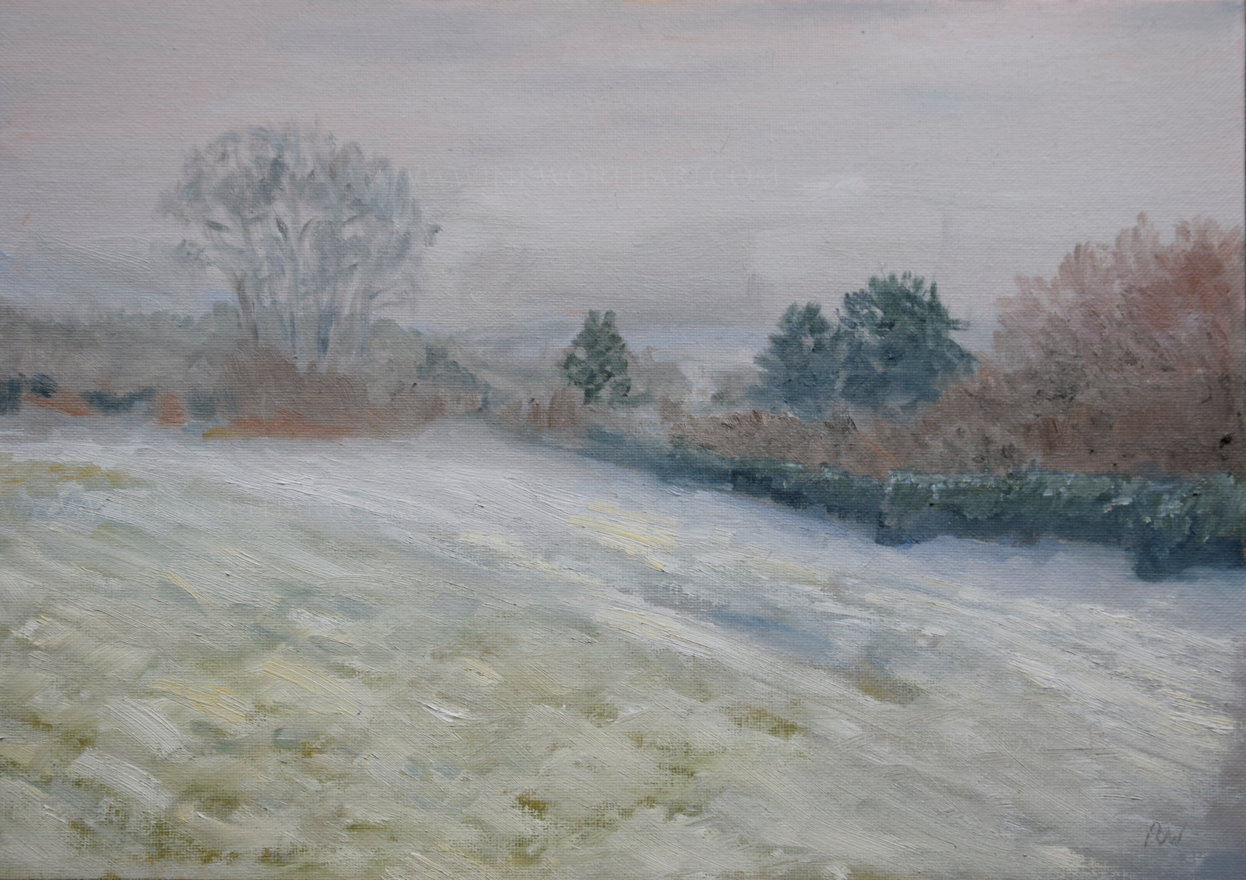 Hindleap Ashdown Forest in snow