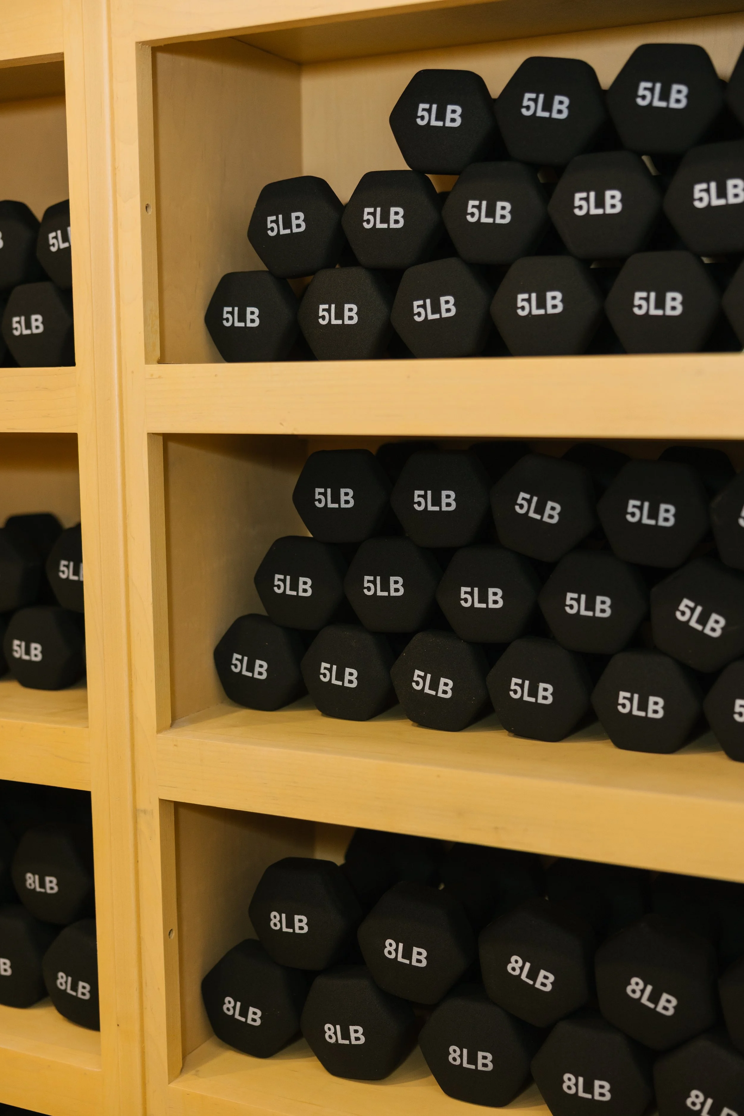 Stacked black dumbbells labeled 5LB and 8LB on wooden shelves.