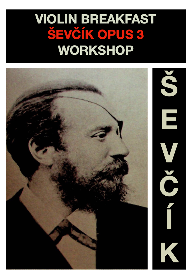 sevcikop3 copy.png