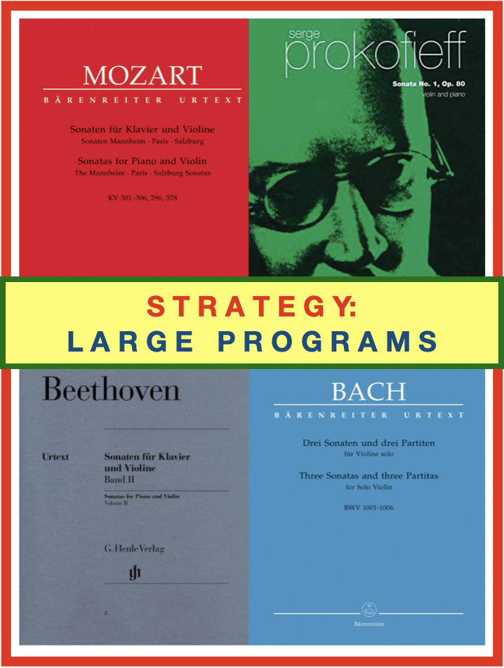 LARGEPROGRAMS copy.png