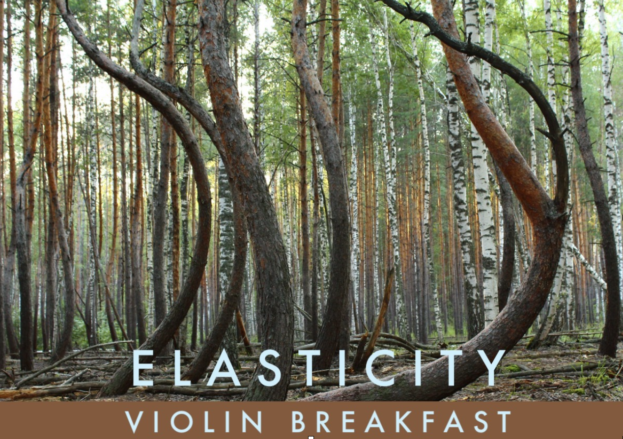 ELASTICITYWORKSHOP.png