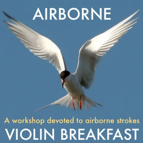 Dedicated to making your violin soar