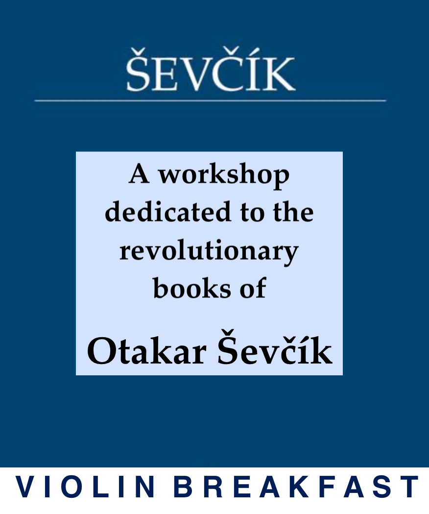 SEVCIKWORKSHOPSgraphic copy.png