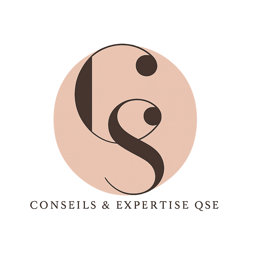 Logo avec un design abstrait et l'inscription 'Conseils & Expertise QSE'.