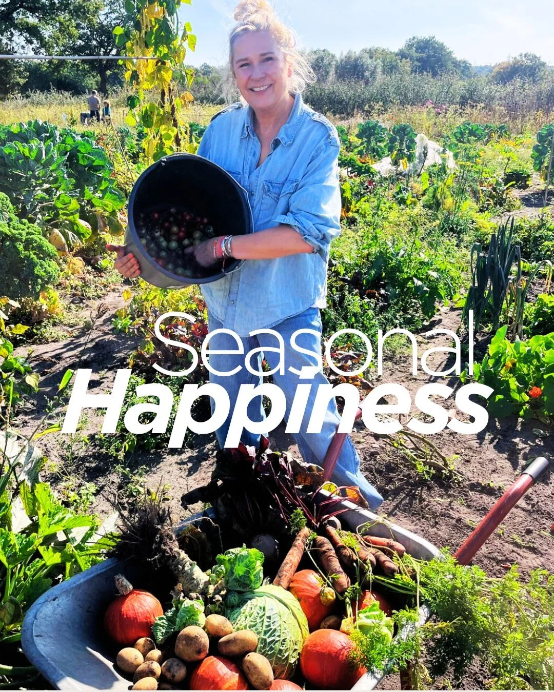 Frisch aus unserem Garten, direkt ins Plant Amour Foodlab 🌱✨

Knackige M&ouml;hren, kr&auml;ftiger Kohl und alles, was die Saison schenkt &ndash; perfekt, um daraus neue Fermente, bunte Rezepte und echtes Wohlbefinden zu kreieren.
Das ist Seasonal H