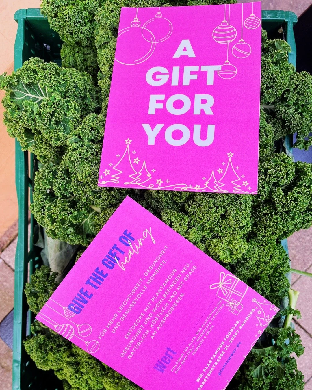 Unsere neuen PlantAmour Gutscheine sind da! ✨

P&uuml;nktlich zur gem&uuml;tlichsten Zeit des Jahres k&ouml;nnt ihr jetzt etwas verschenken, das wirklich von Herzen kommt: Gesundheit, Wohlbefinden und kleine Genussmomente, die lange nachwirken.
Ob al