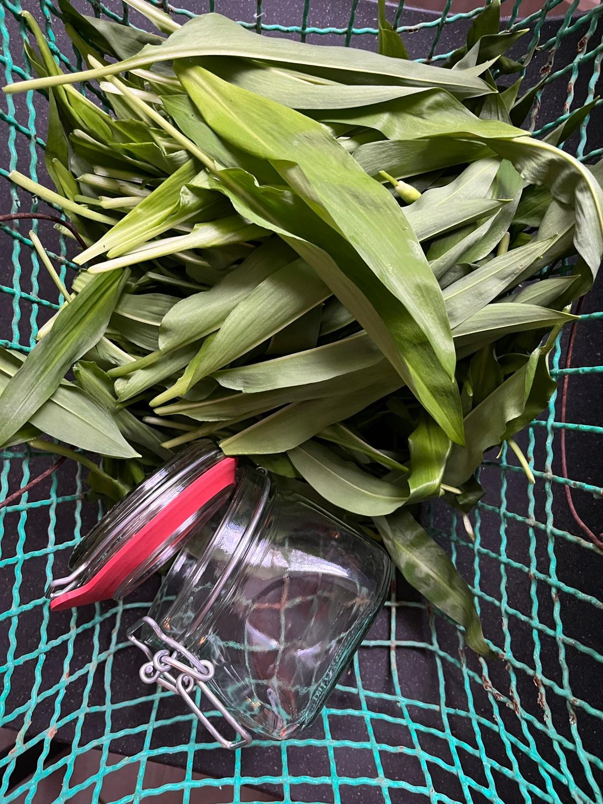 14.04.26 // Bärlauch-Kimchi Lovers