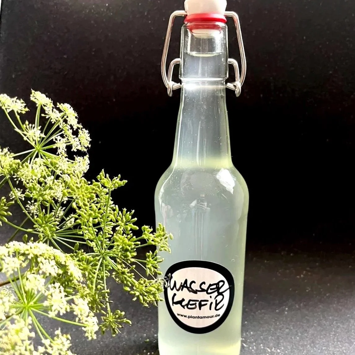 21.08.26 // Wasserkefir – Natürlich prickelnd fermentieren