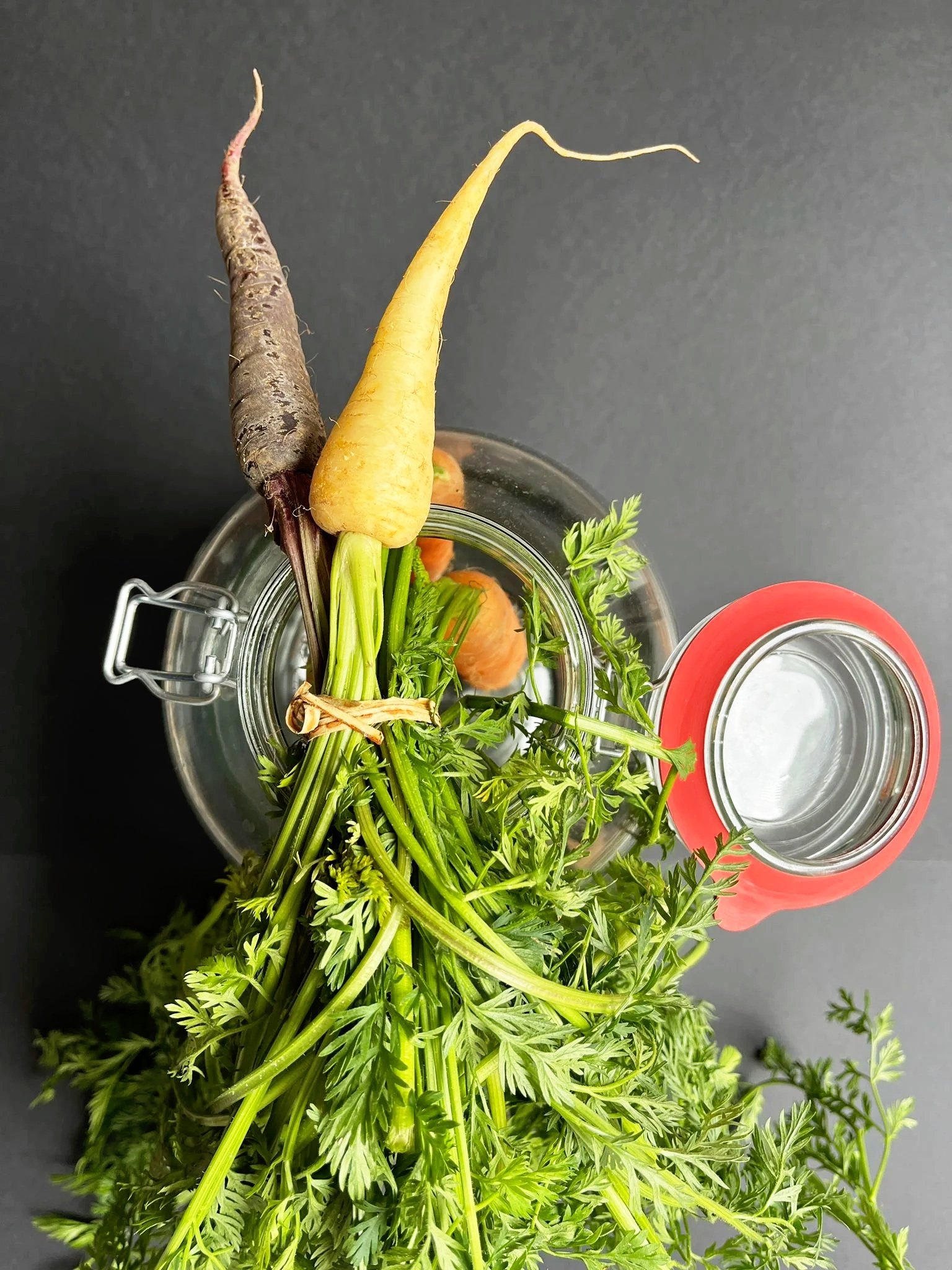 30.05.26 // FERMENTATION EASY - DEIN EINSTIEG INS FERMENTIEREN