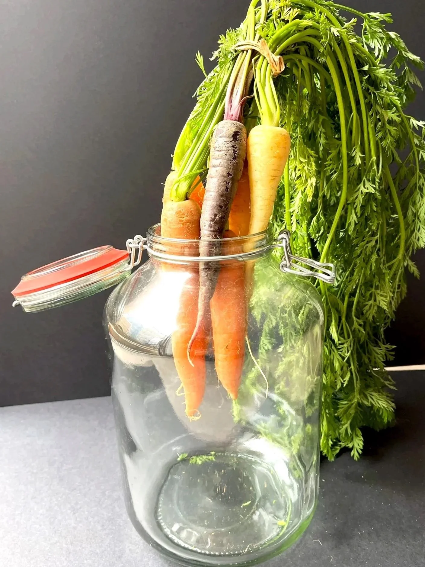 25.04.26 // FERMENTATION EASY - DEIN EINSTIEG INS FERMENTIEREN