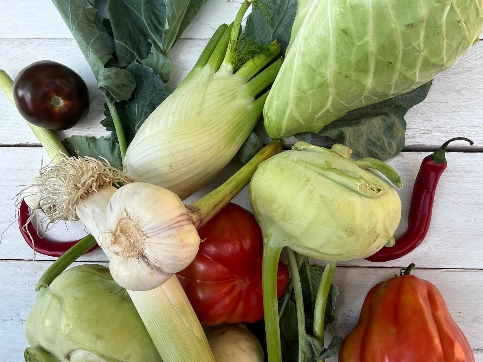 16.05.26 // BYE BYE BELLY – DEIN RESET FÜR EINEN STARKEN DARM