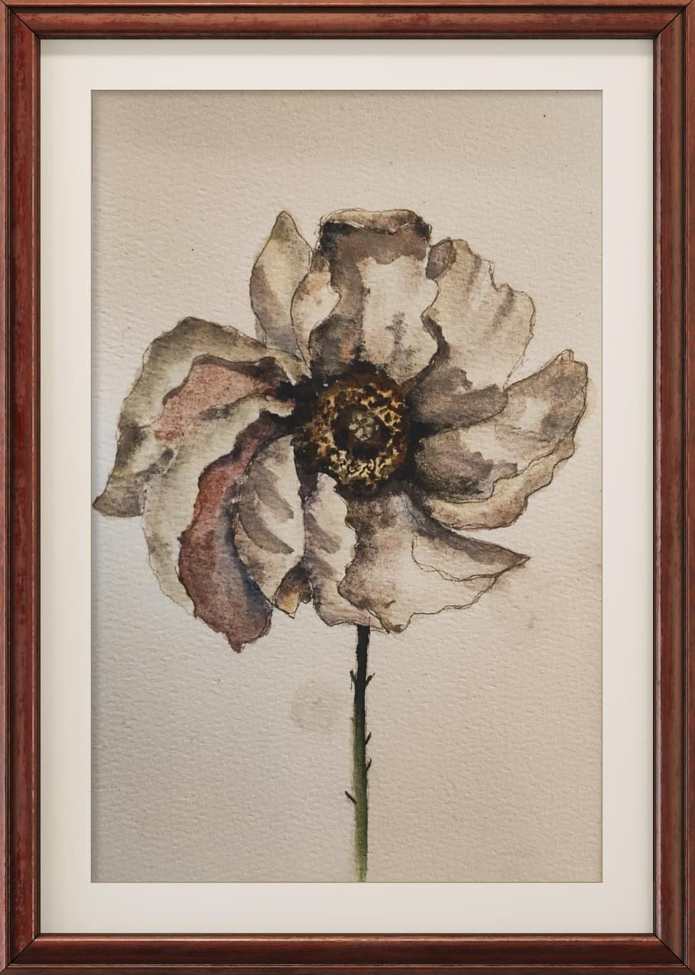 WATERCOLOR SERIES -WHITE POPPY