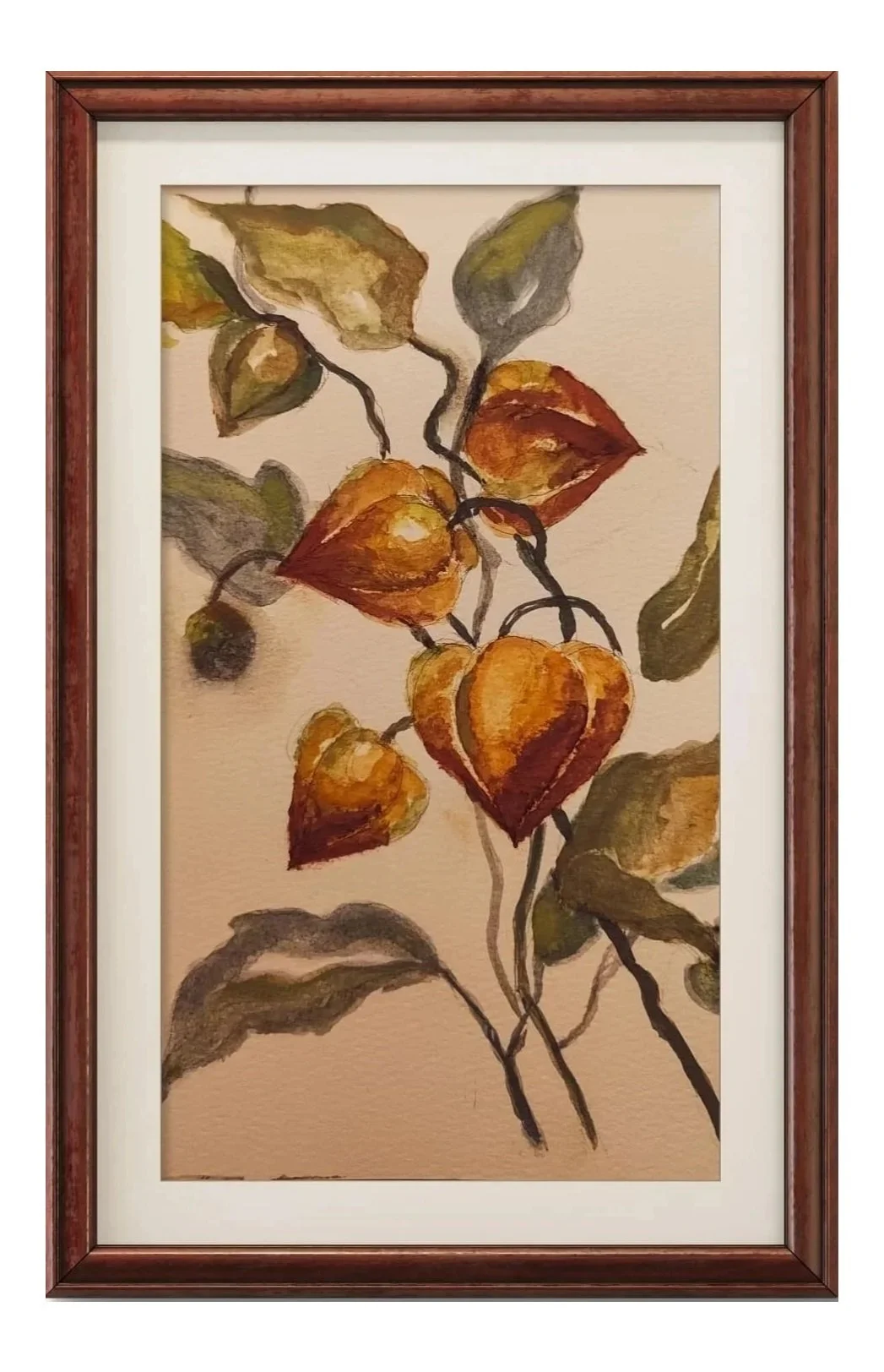WATERCOLOR SERIES - PHYSALIS